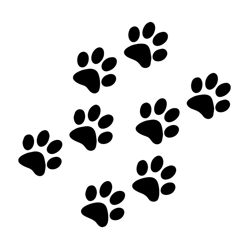 1pc Cat Paw Print Car Sticker  - Motorcycle Gear Auto 评论和价格